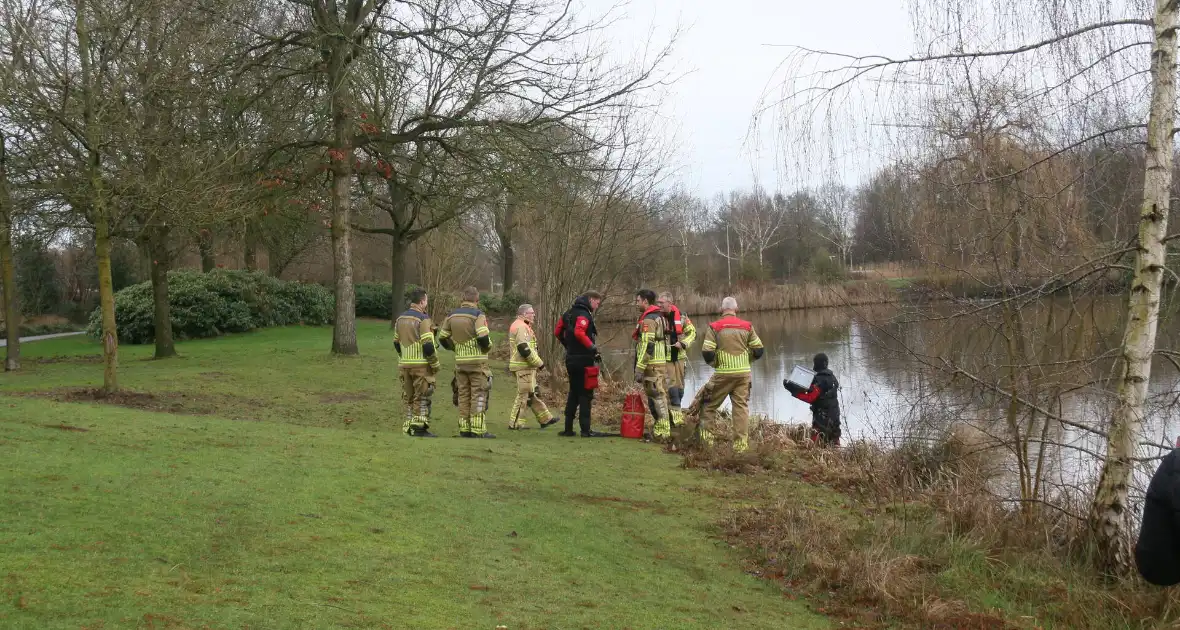 Duikers van de brandweer reden vastzittende meeuw - Foto 2