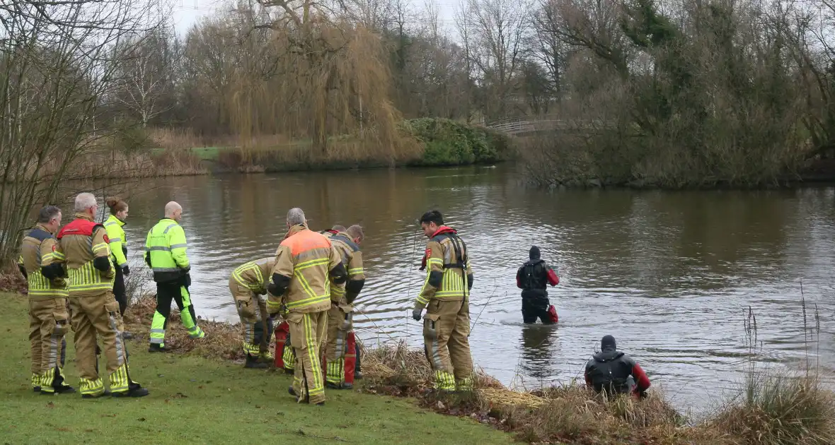 Duikers van de brandweer reden vastzittende meeuw - Foto 5