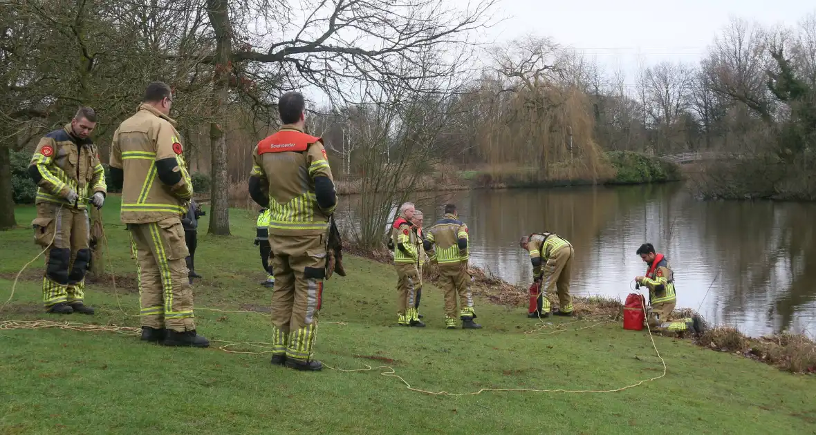 Duikers van de brandweer reden vastzittende meeuw - Foto 6