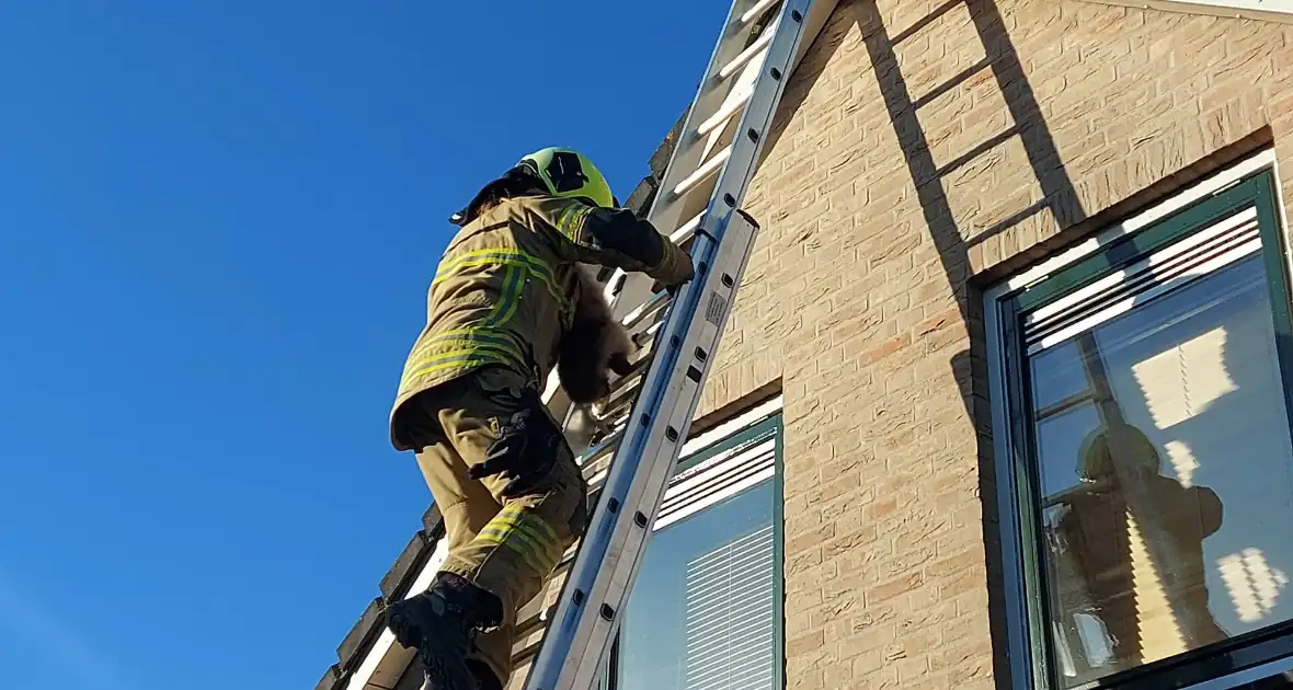 Brandweer redt kat van dak - Foto 3