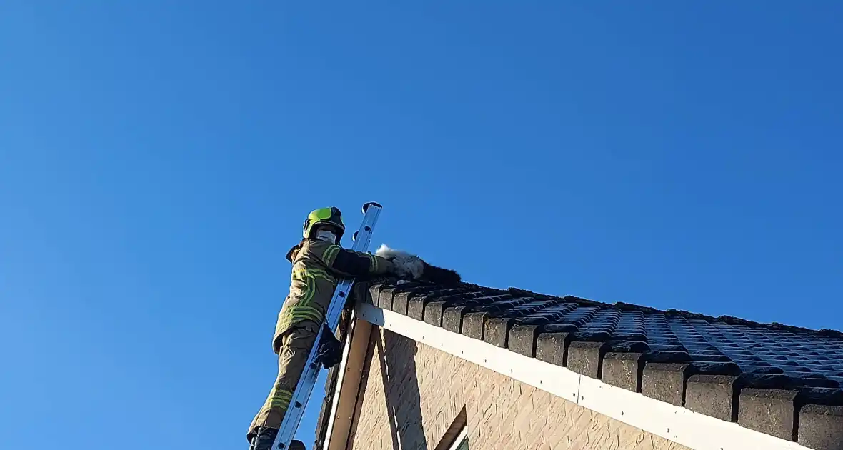 Brandweer redt kat van dak - Foto 6