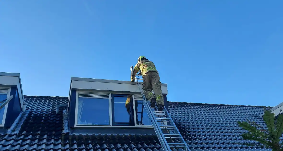 Brandweer redt kat van dak - Foto 8