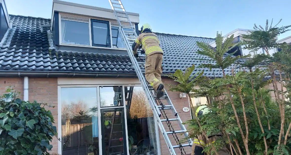Brandweer redt kat van dak - Foto 9