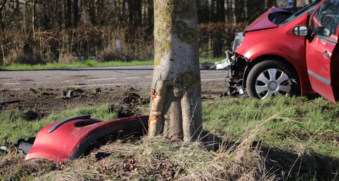 Automobilist gewond na crash tegen meerdere bomen - Foto 2
