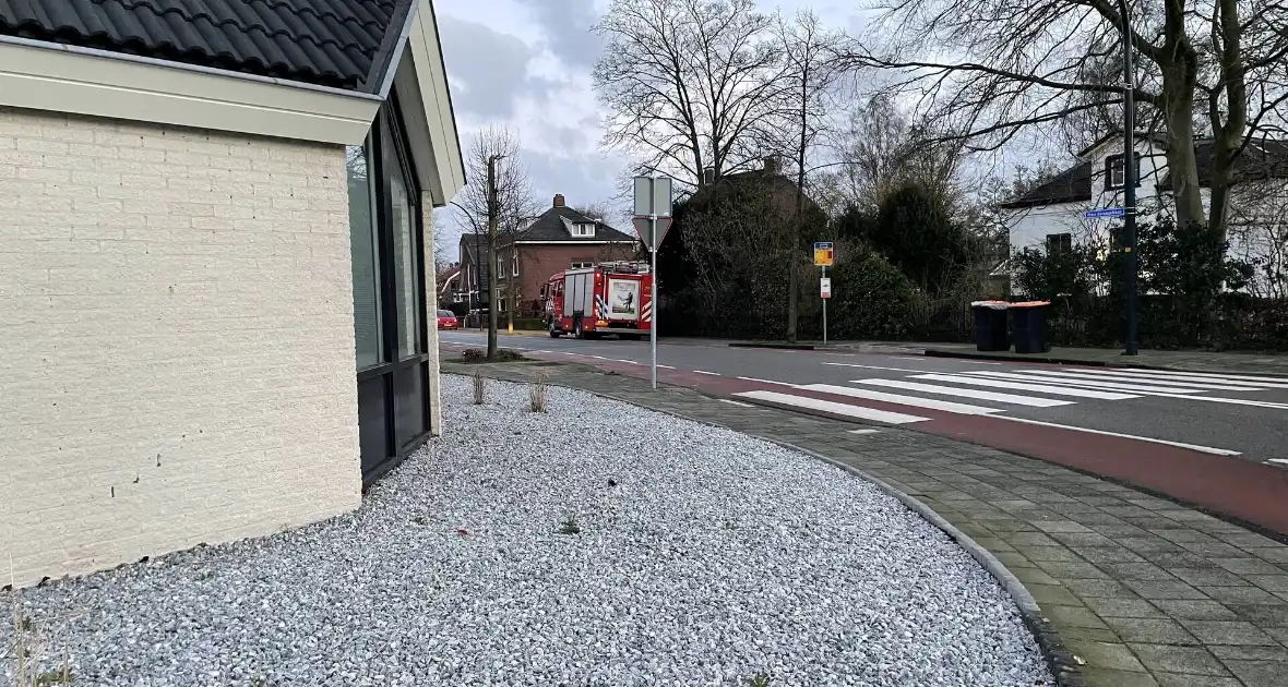 Grote boom omgelegd door storm Dudley - Foto 1
