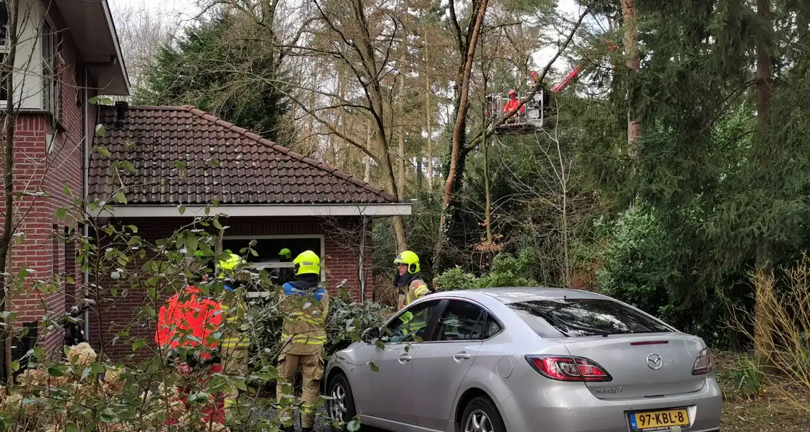 Boom dreigt op woning te vallen