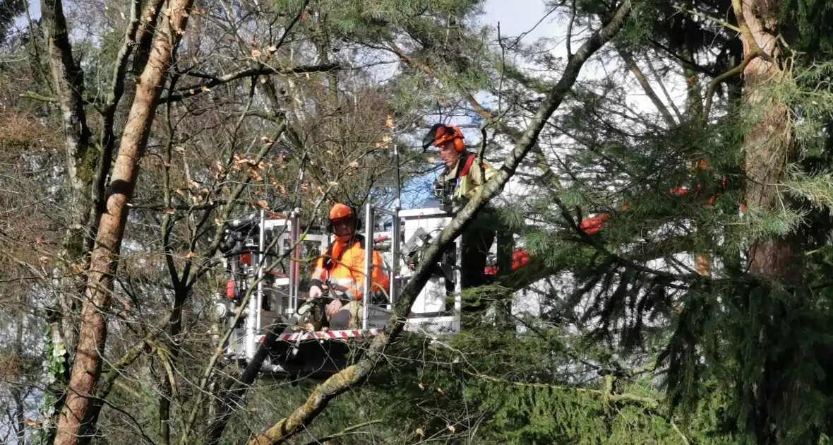 Boom dreigt op woning te vallen - Foto 1