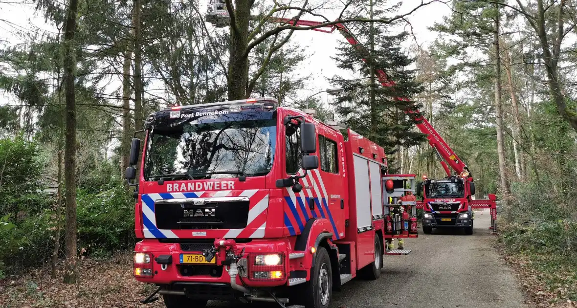 Boom dreigt op woning te vallen - Foto 2