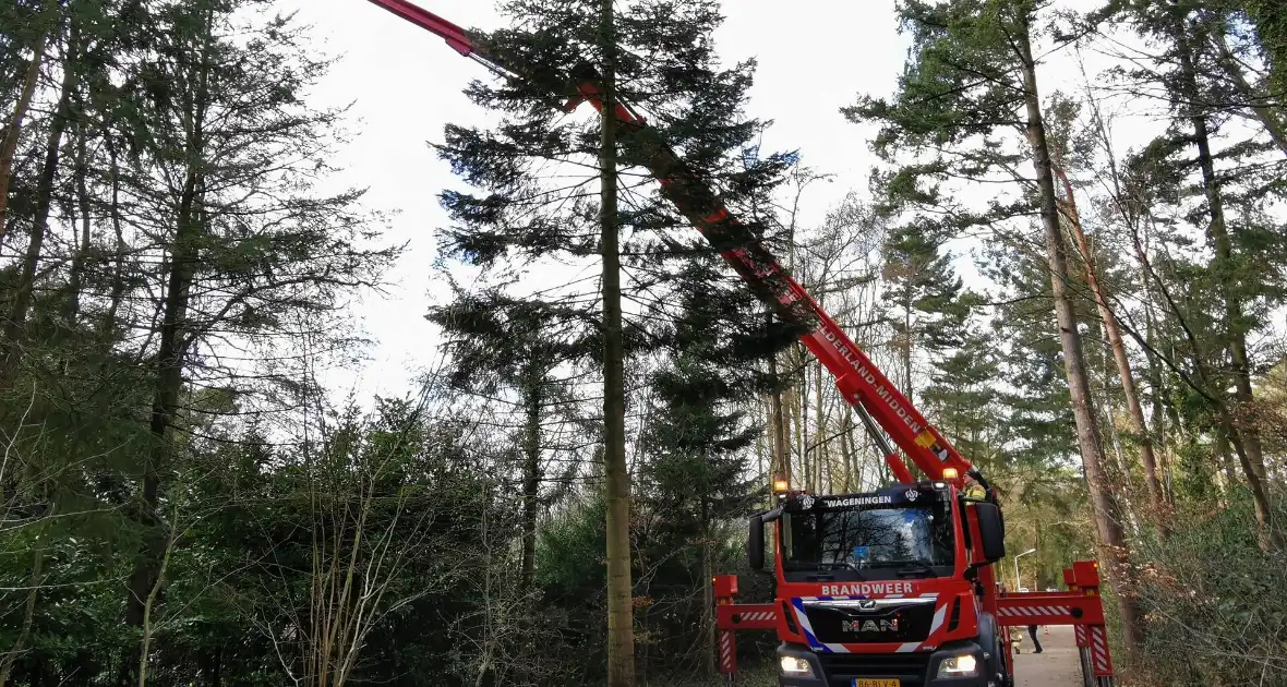 Boom dreigt op woning te vallen - Foto 3