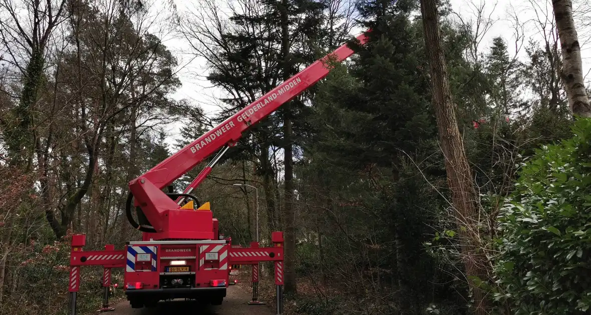 Boom dreigt op woning te vallen - Foto 4