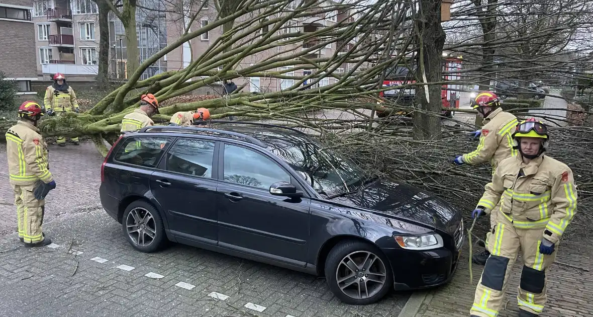 Grote boom valt op geparkeerde auto - Foto 4