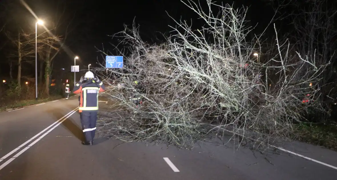 Omgevallen boom blokkeert weg - Foto 1