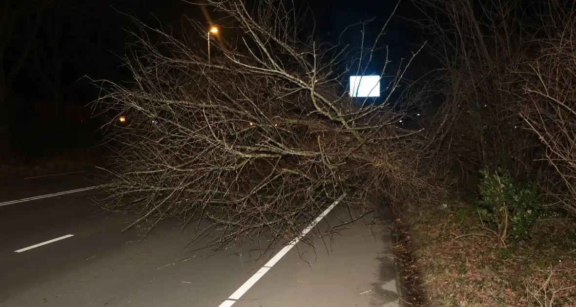 Omgevallen boom blokkeert weg - Foto 2