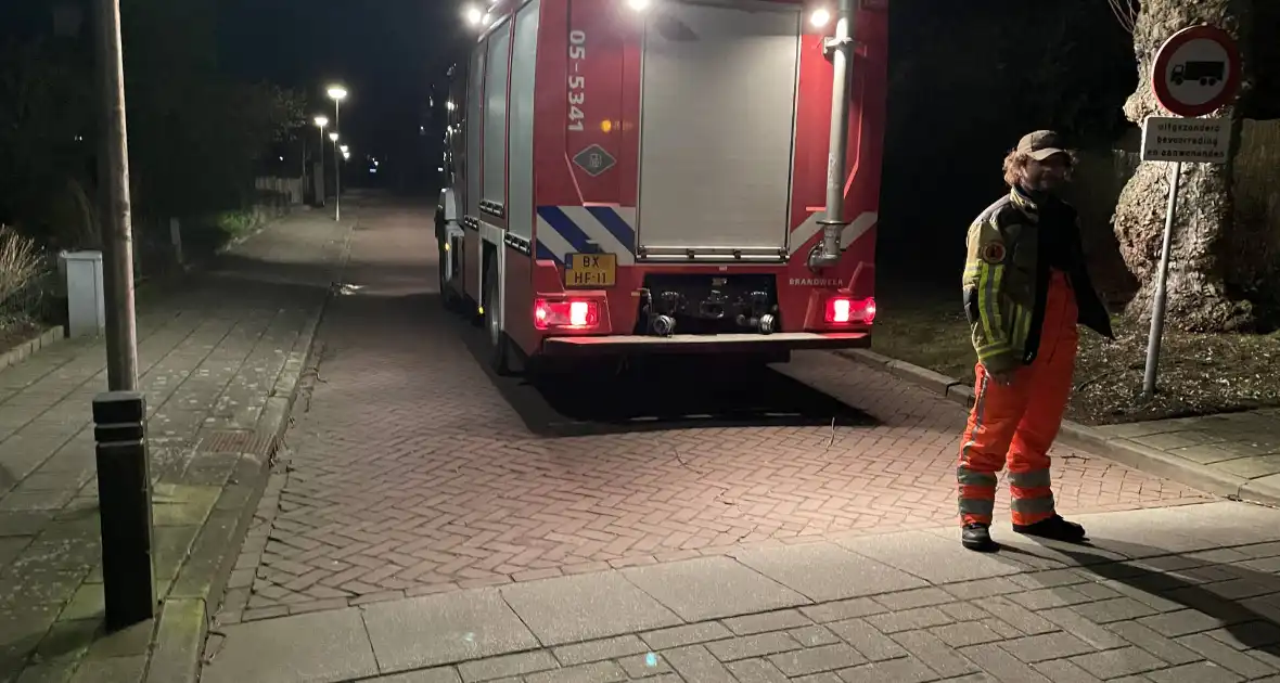 Brandweer stelt boom veilig - Foto 2