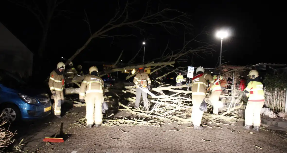 Omgevallen boom in stukken gezaagd door brandweer - Foto 6