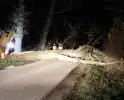 Brandweer zaagt grote boom in stukken