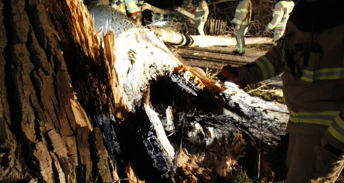 Brandweer zaagt grote boom in stukken - Foto 11