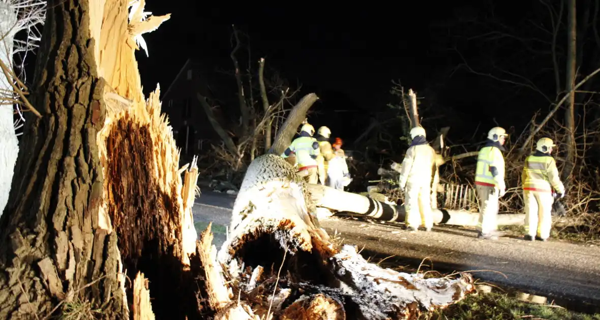 Brandweer zaagt grote boom in stukken - Foto 13