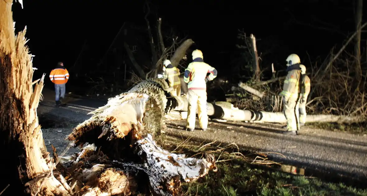 Brandweer zaagt grote boom in stukken - Foto 14