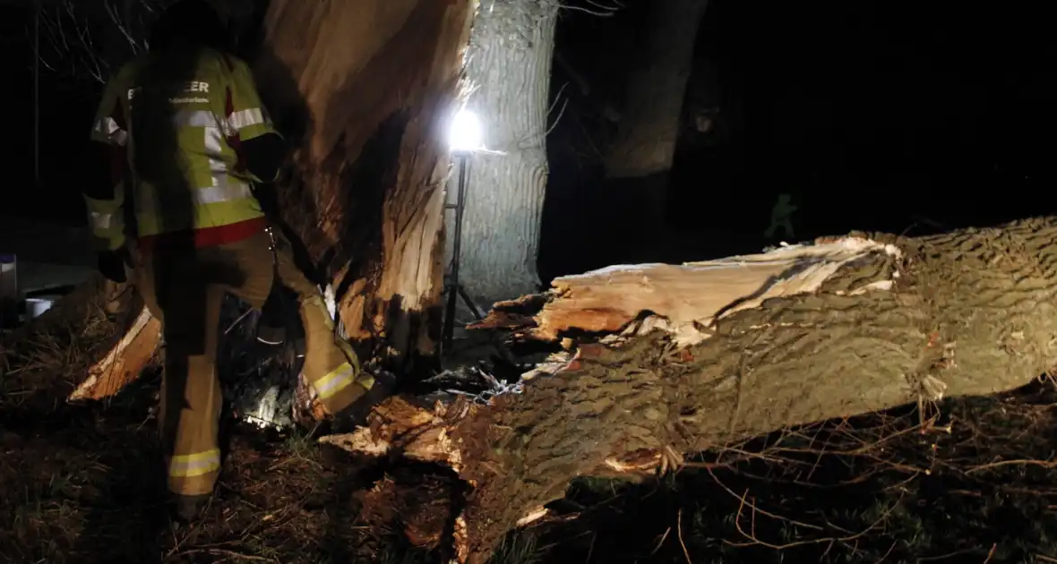 Brandweer zaagt grote boom in stukken - Foto 15