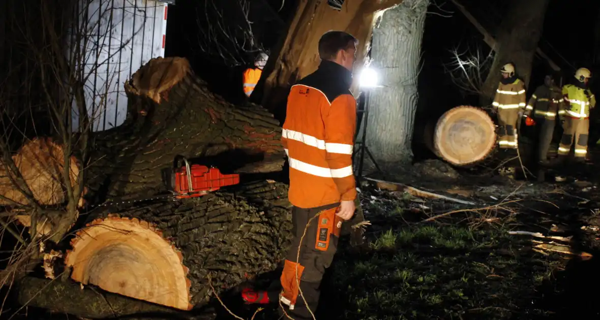 Brandweer zaagt grote boom in stukken - Foto 17