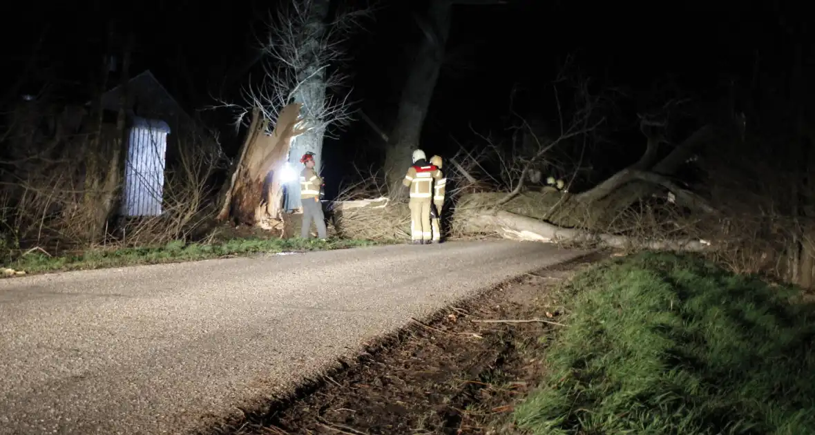 Brandweer zaagt grote boom in stukken - Foto 2