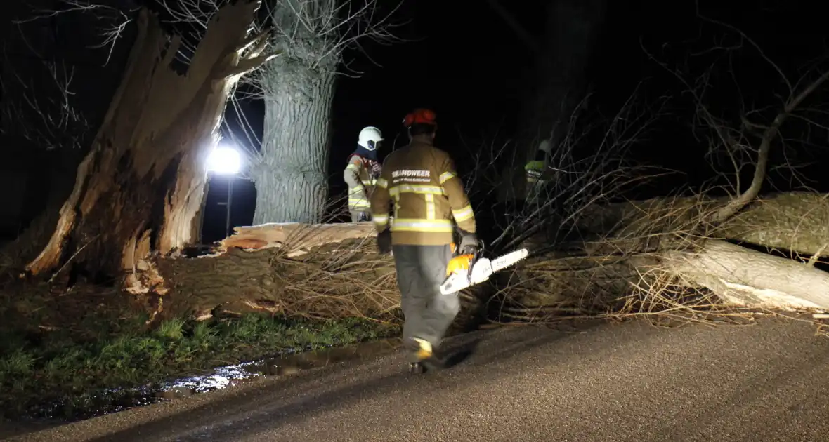 Brandweer zaagt grote boom in stukken - Foto 3