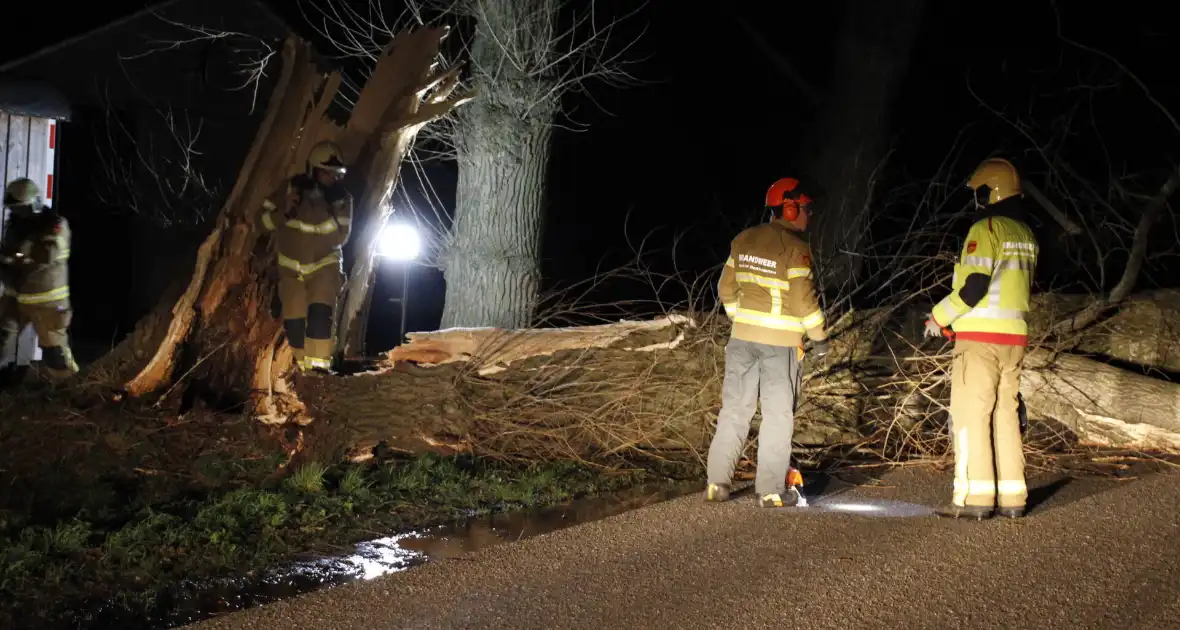 Brandweer zaagt grote boom in stukken - Foto 4