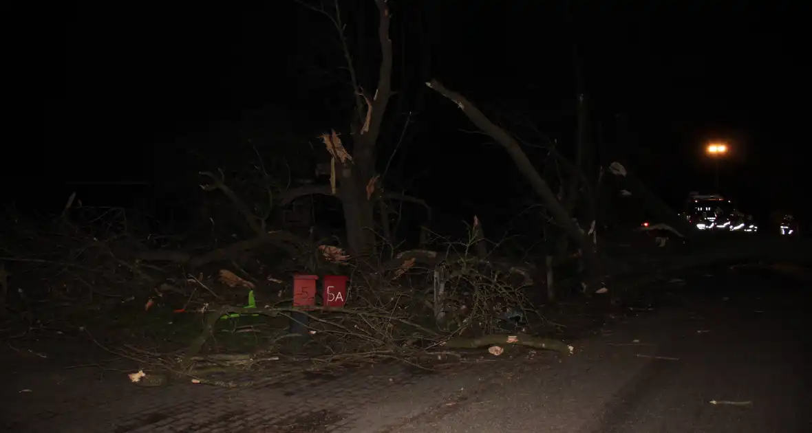 Brandweer zaagt grote boom in stukken - Foto 6