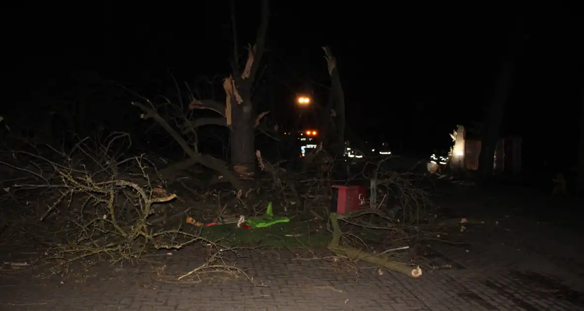 Brandweer zaagt grote boom in stukken - Foto 7