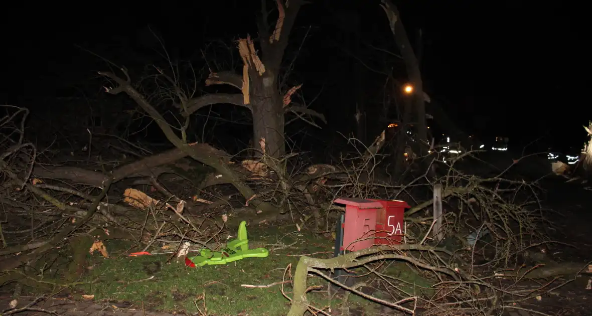 Brandweer zaagt grote boom in stukken - Foto 8