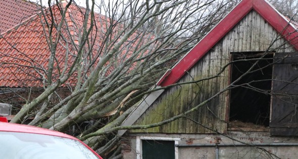 Grote boom valt op woningen en schuur - Afbeelding 4