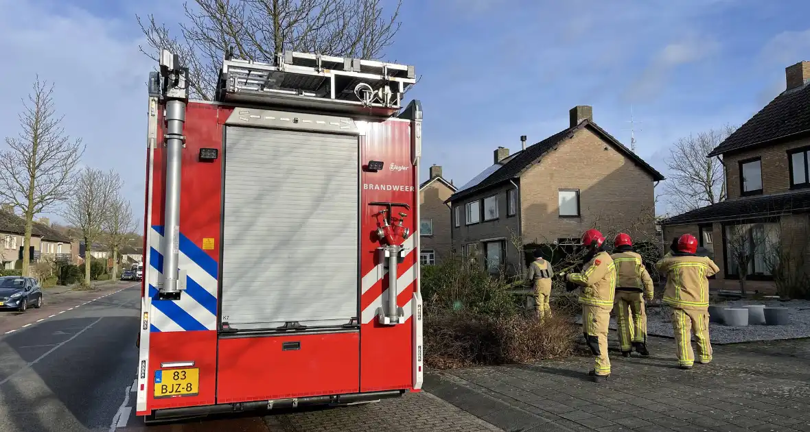 Gevelde boom door storm Franklin in stukken gezaagd