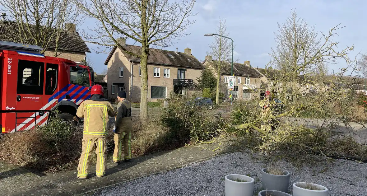 Gevelde boom door storm Franklin in stukken gezaagd - Foto 1