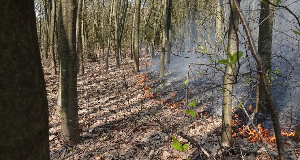 Bosbrand zorgt voor veel rook - Foto 1