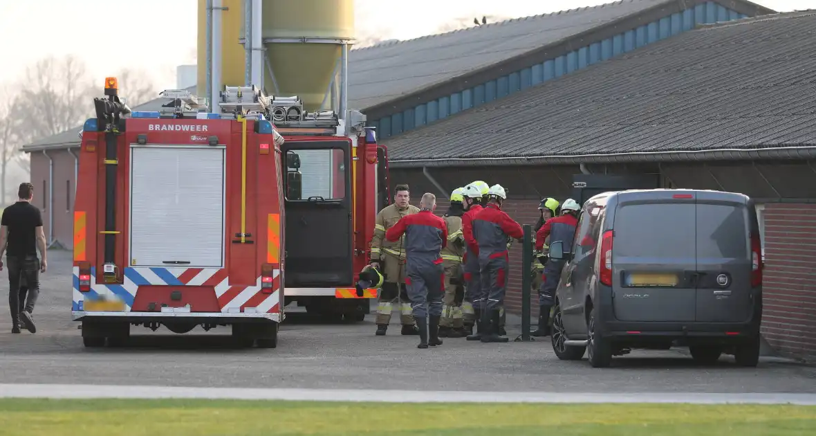 Brandweer haalt varken uit gierput