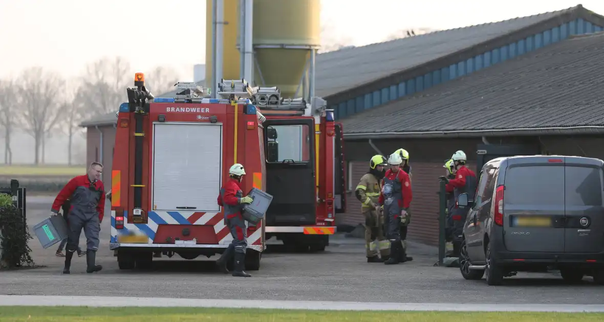 Brandweer haalt varken uit gierput - Foto 1