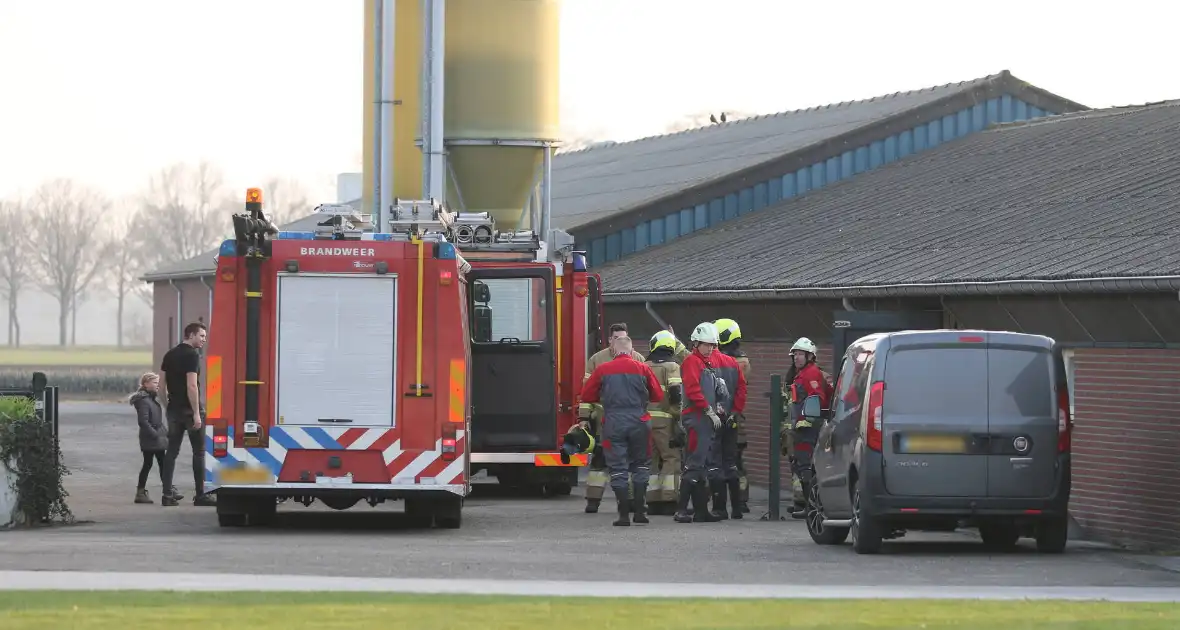 Brandweer haalt varken uit gierput - Foto 2