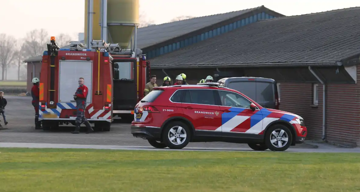 Brandweer haalt varken uit gierput - Foto 3