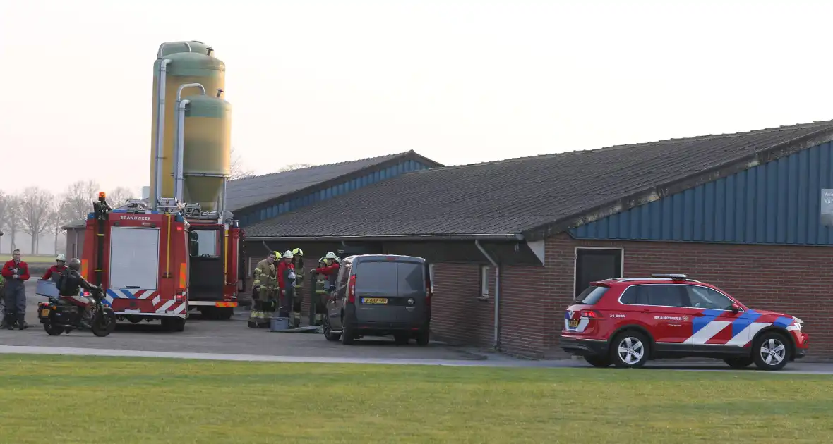 Brandweer haalt varken uit gierput - Foto 4