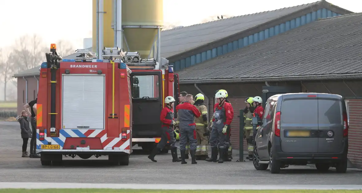 Brandweer haalt varken uit gierput - Foto 5