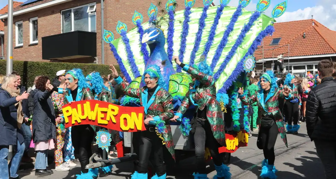 Grote drukte bij carnavalsoptocht - Foto 6