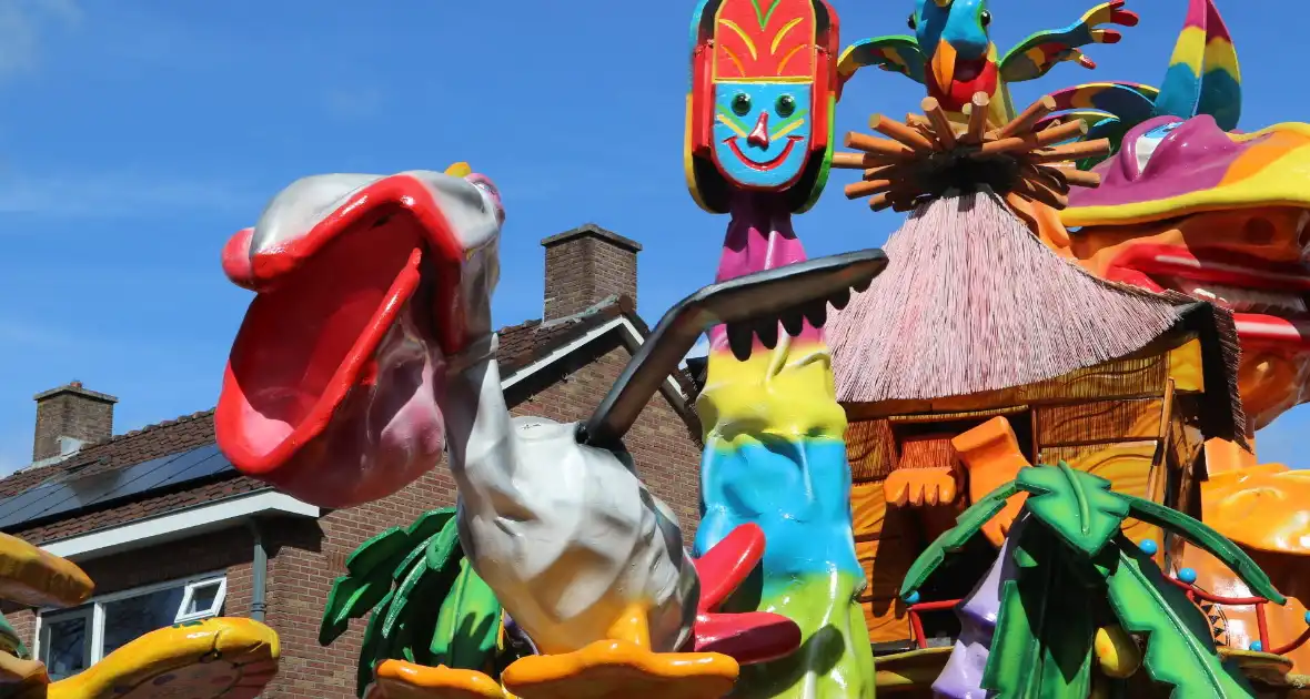 Grote drukte bij carnavalsoptocht - Foto 8