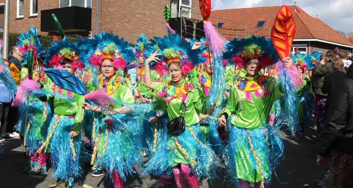 Grote drukte bij carnavalsoptocht - Foto 9
