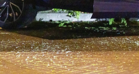 Politie lost schoten na vermoedelijke woninginbraak - Afbeelding 1