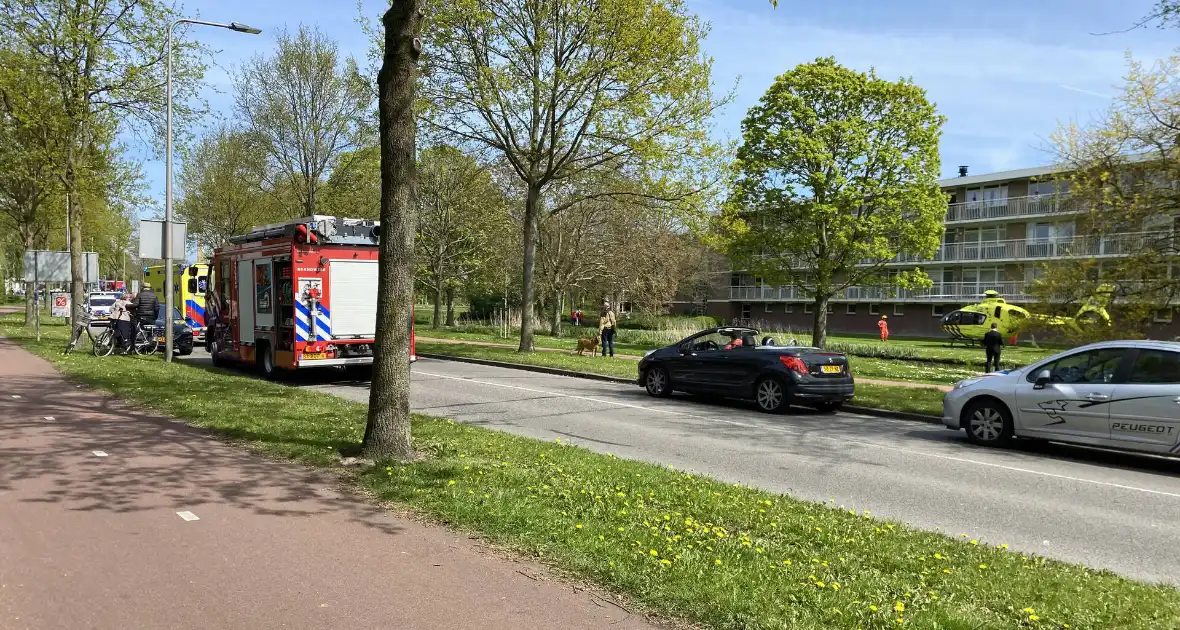 Automobilist botsen frontaal op boom - Foto 3