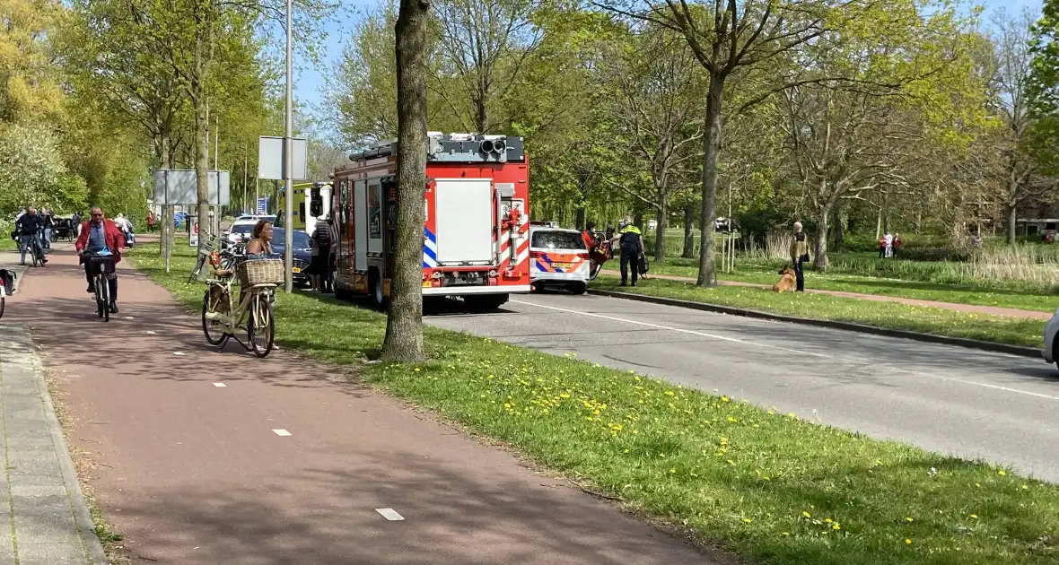 Automobilist botsen frontaal op boom - Foto 4