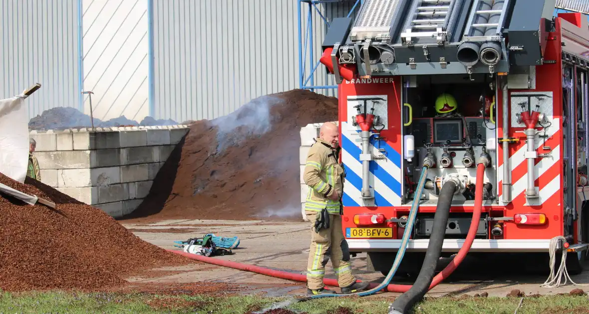 Broei in berg met potgrond