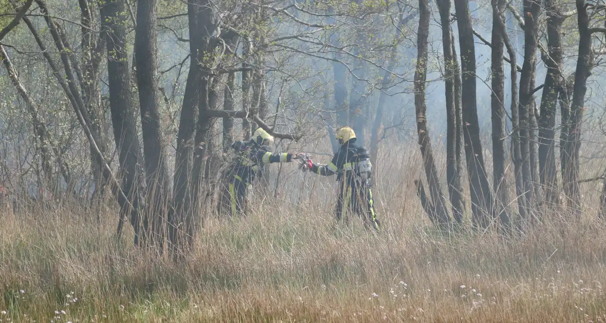 Boswachter ontdekt brand in natuurgebied - Foto 2
