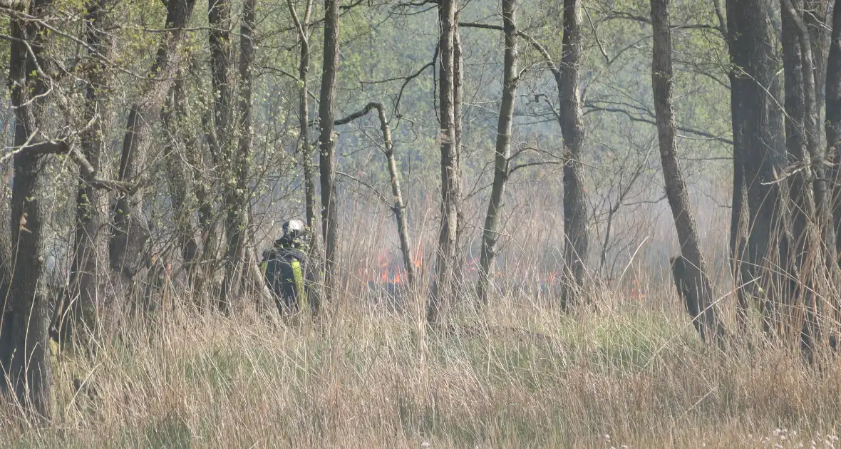 Boswachter ontdekt brand in natuurgebied - Foto 3